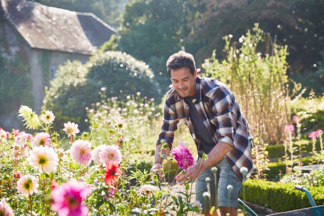 Mann im Garten mit Blumen