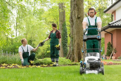 Professionelle Gartenpflege