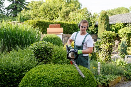 Gartenpflege